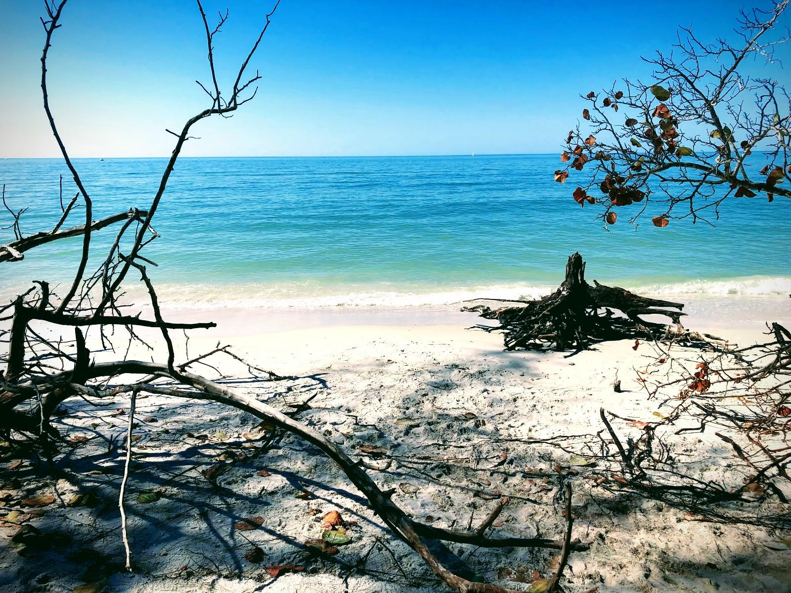 Sandee Wiggins Pass Beach Photo