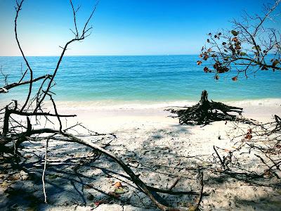 Sandee - Wiggins Pass Beach