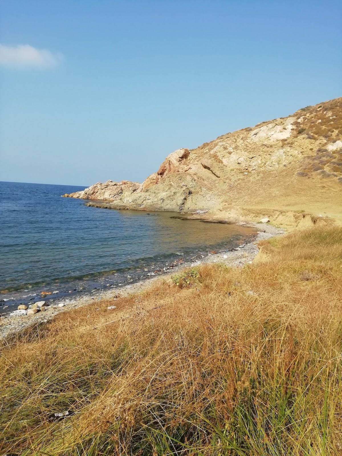 Sandee Kesanelik Armanlar Plaji