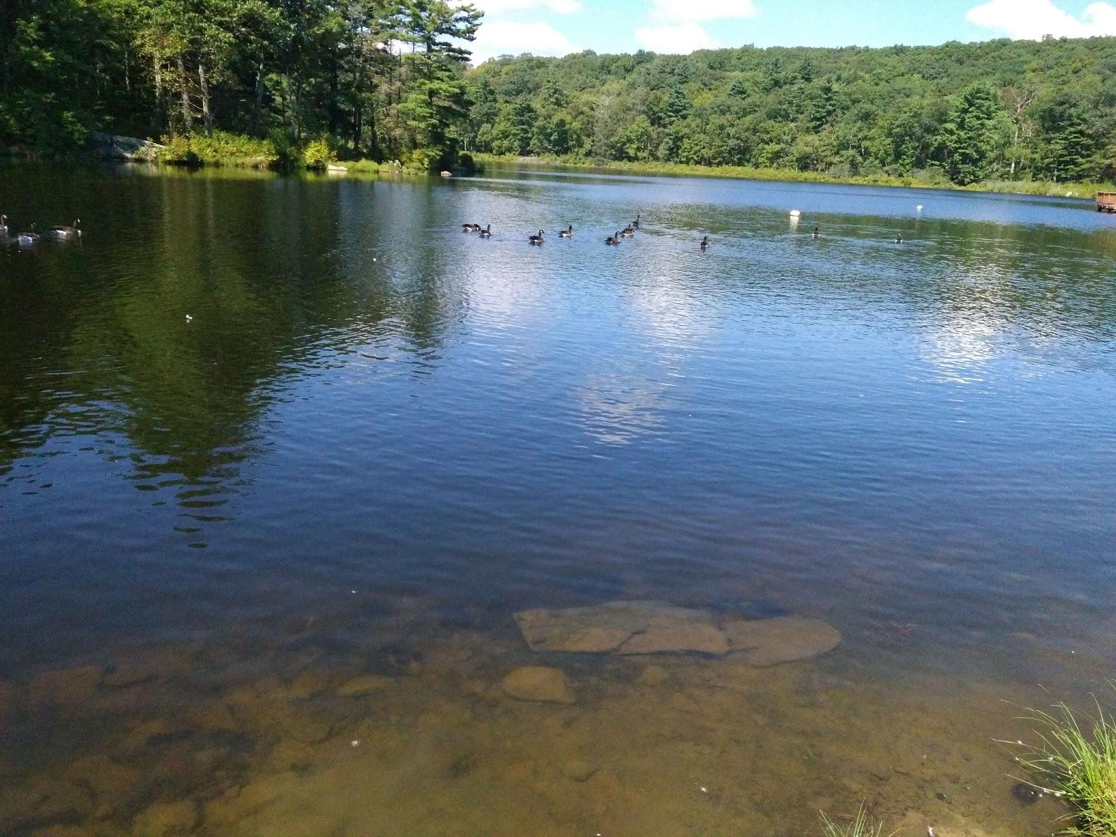 Sandee - HomePage / Birchwood Lakes