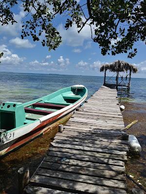 Sandee - Billy Hawk Caye