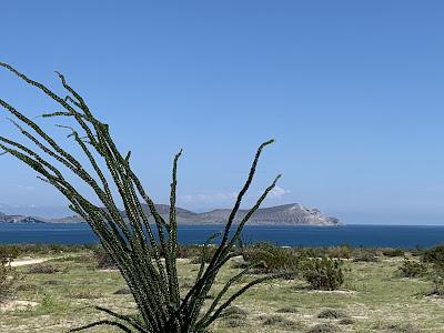 Sandee - Baja Playa Del Sol Beachfront