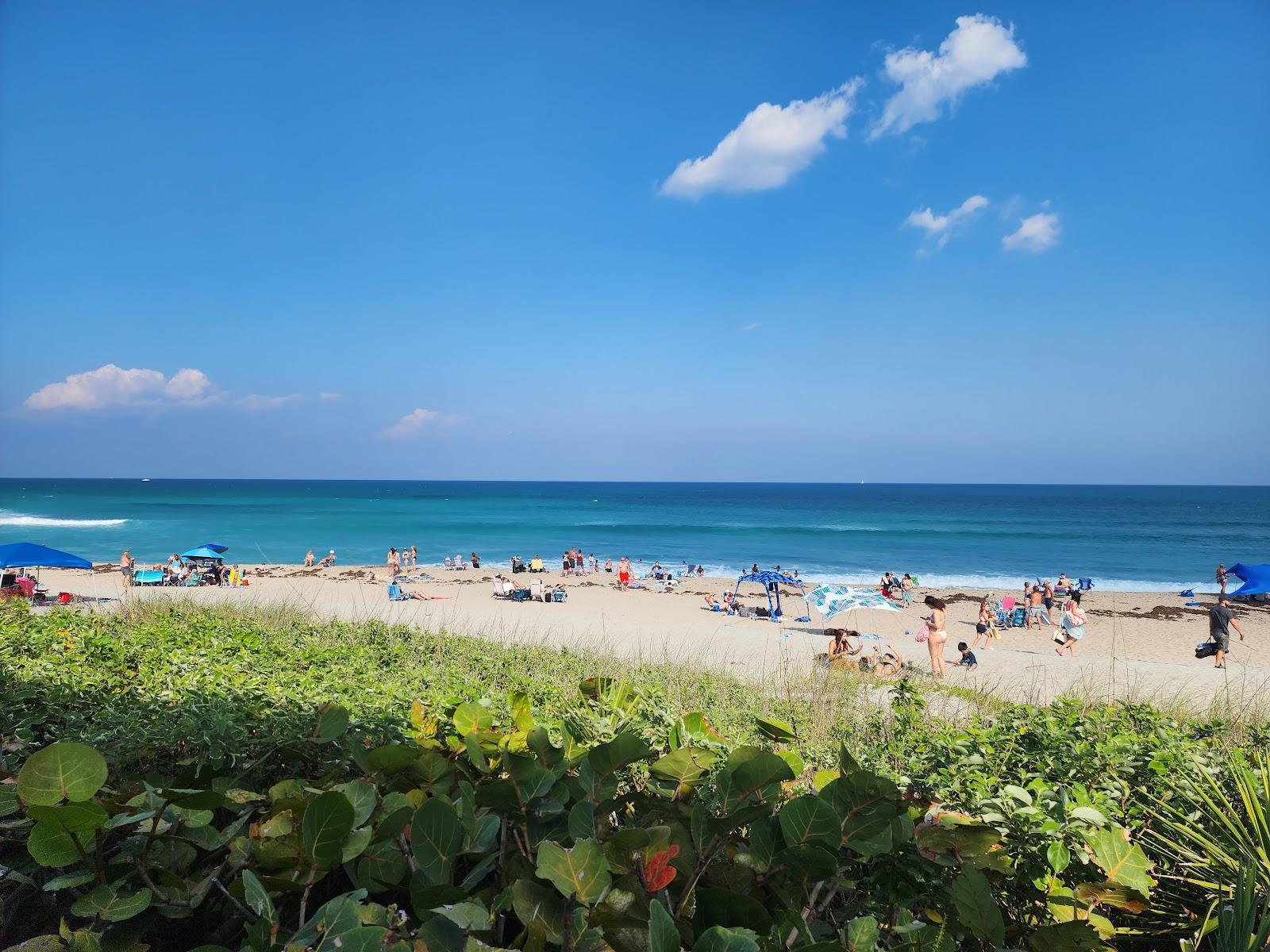 Sandee Phipps Ocean Park