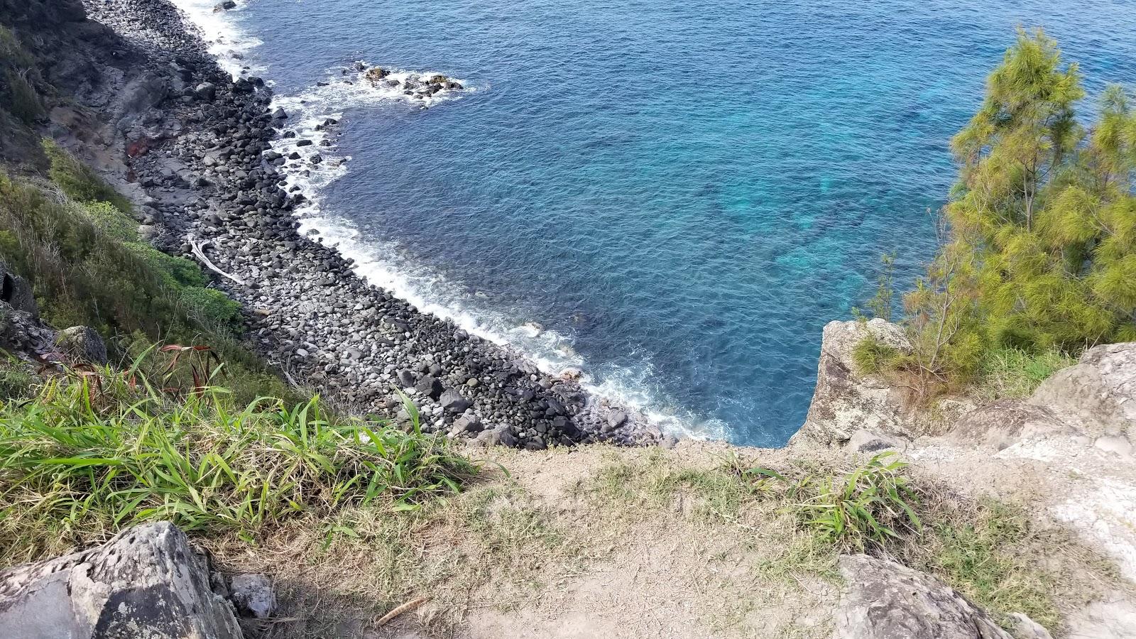 Sandee - Punalau Beach