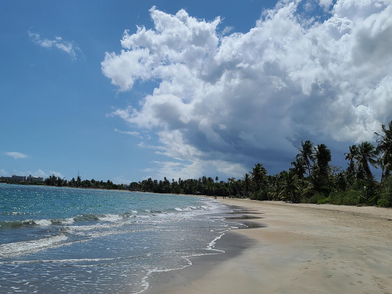 Sandee Sardinera Beach