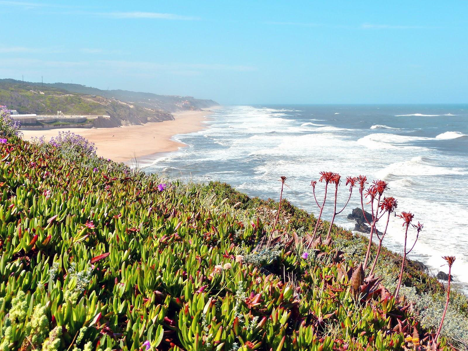 Sandee - Praia Das Pedras Negras