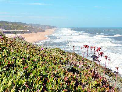 Sandee - Praia Das Pedras Negras