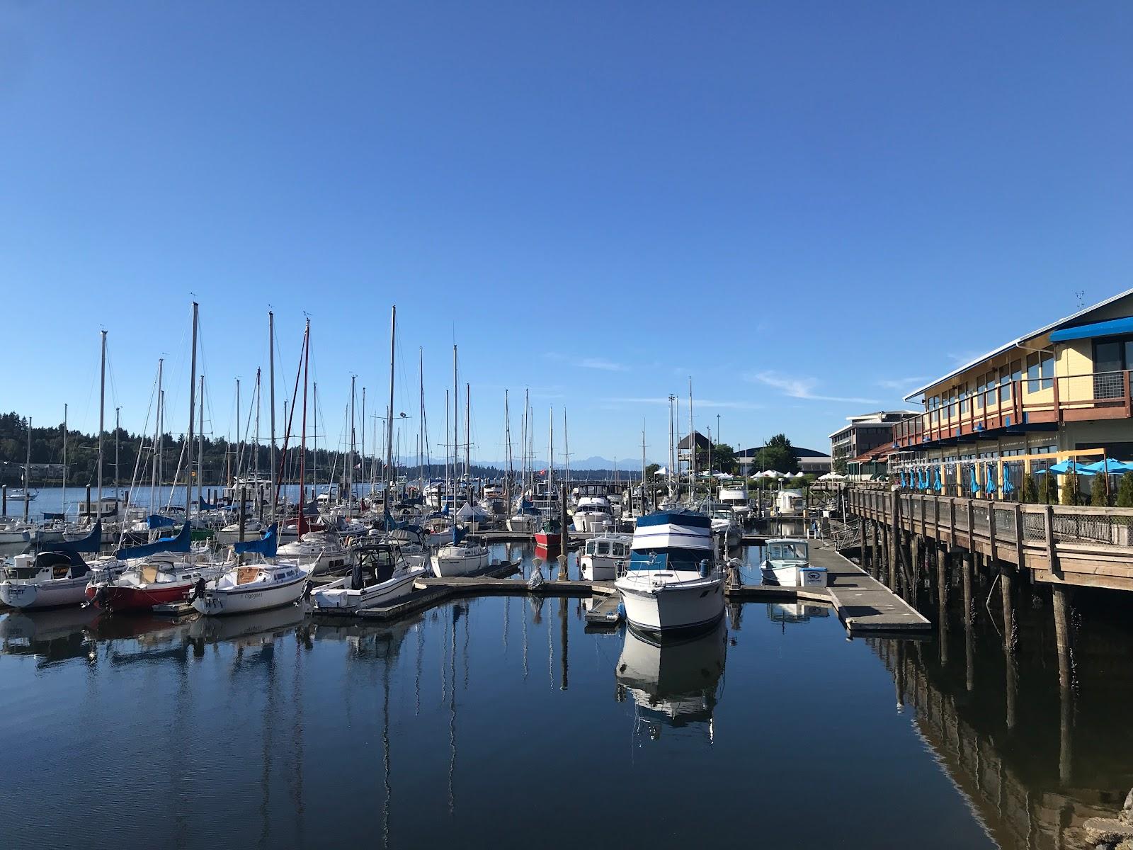 Sandee Fiddlehead Marina