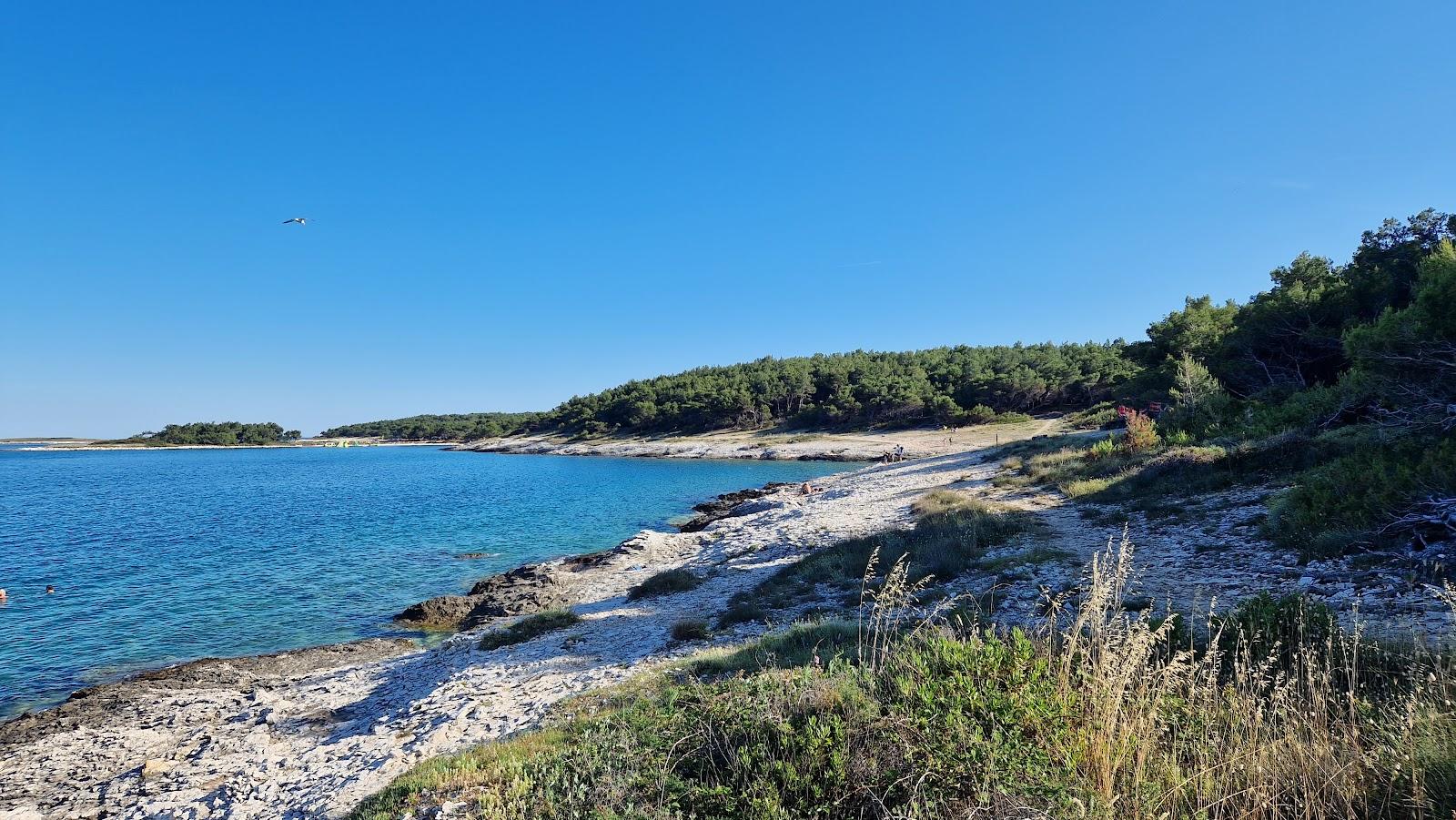 Sandee Beach Lokva