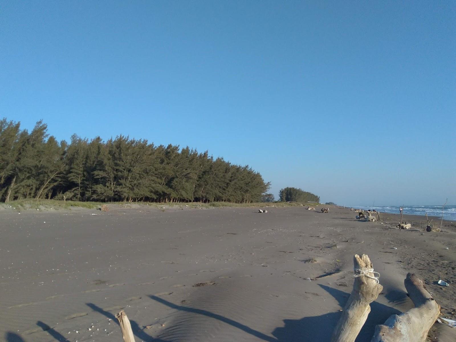 Sandee Playa Barra Nueva