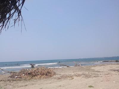 Sandee