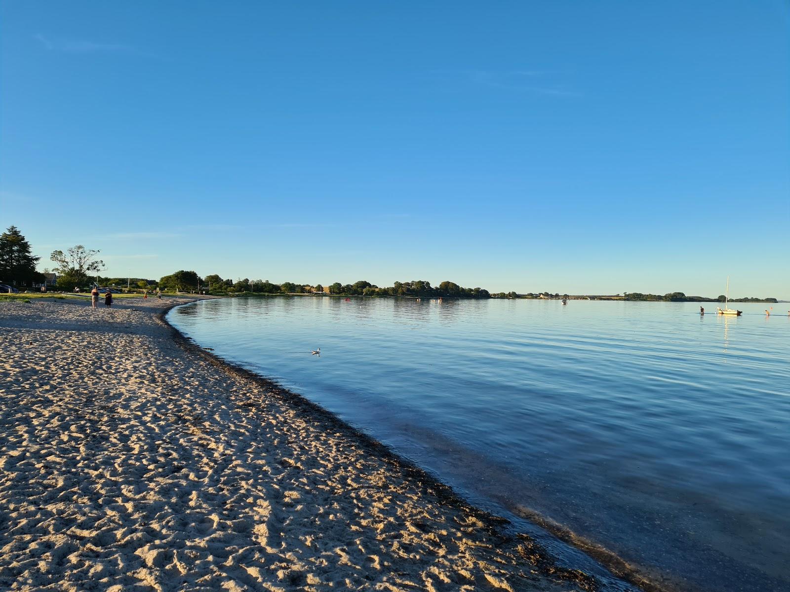 Sandee Binderup Strand