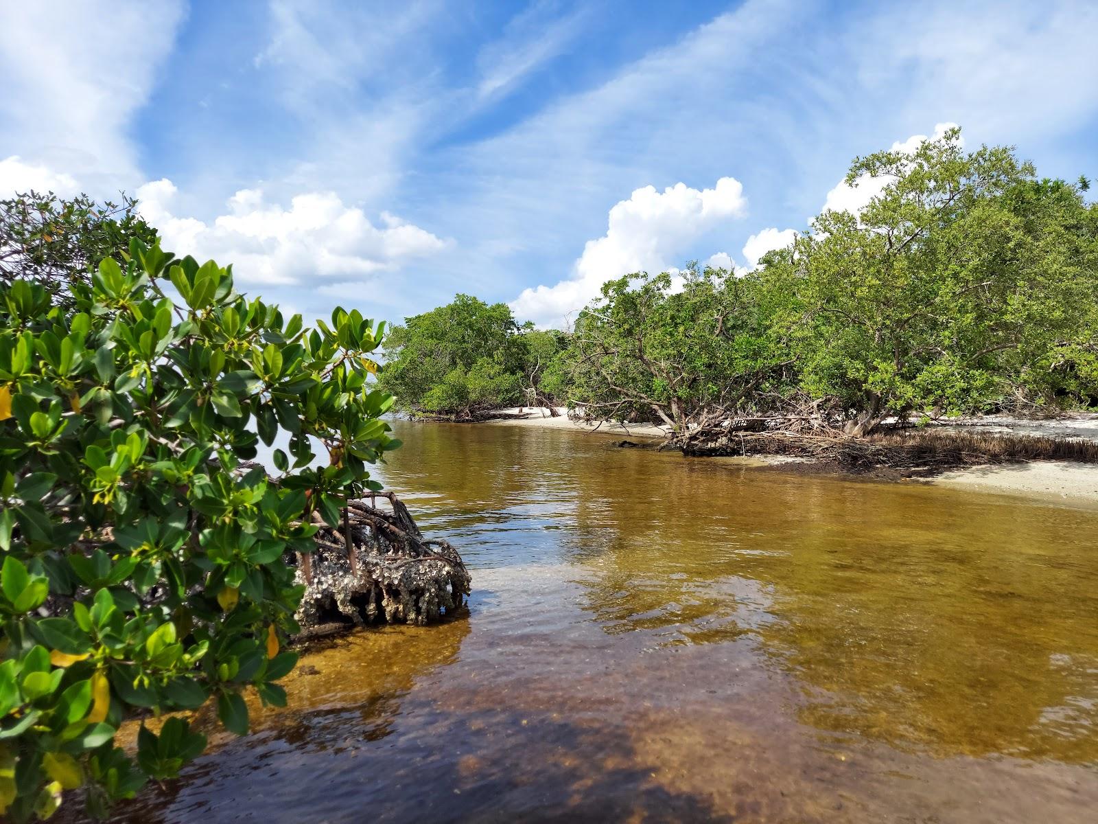 Sandee Ponce De Leon Park