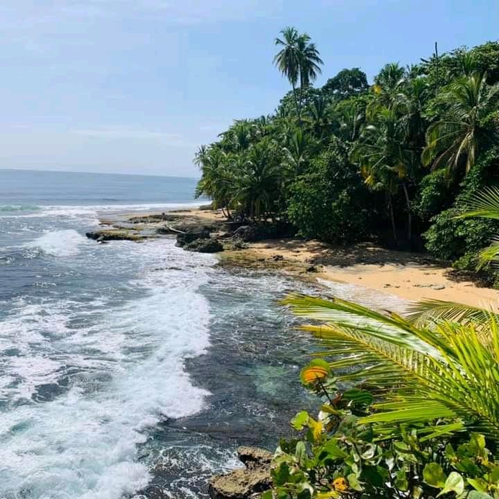 Sandee Playa Manzanillo