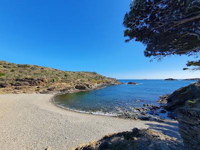 Sandee - Platja De S'Alqueria Gran