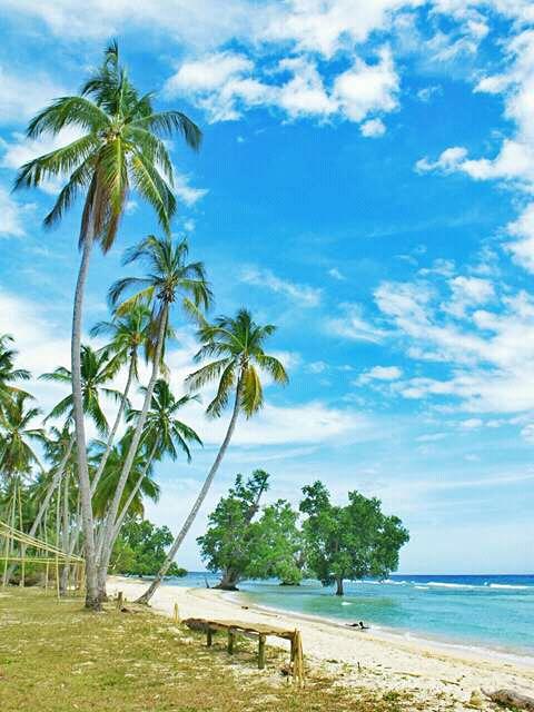 Sandee Pantai Wisata Ponii Luwoo
