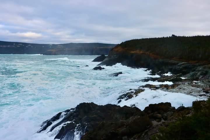 Sandee - Cove Beach