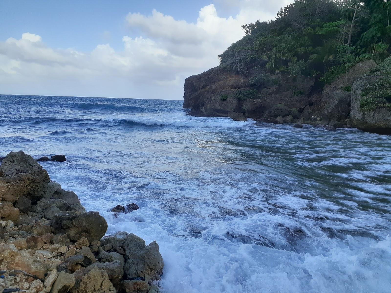 Sandee Priestmans River Beach Photo