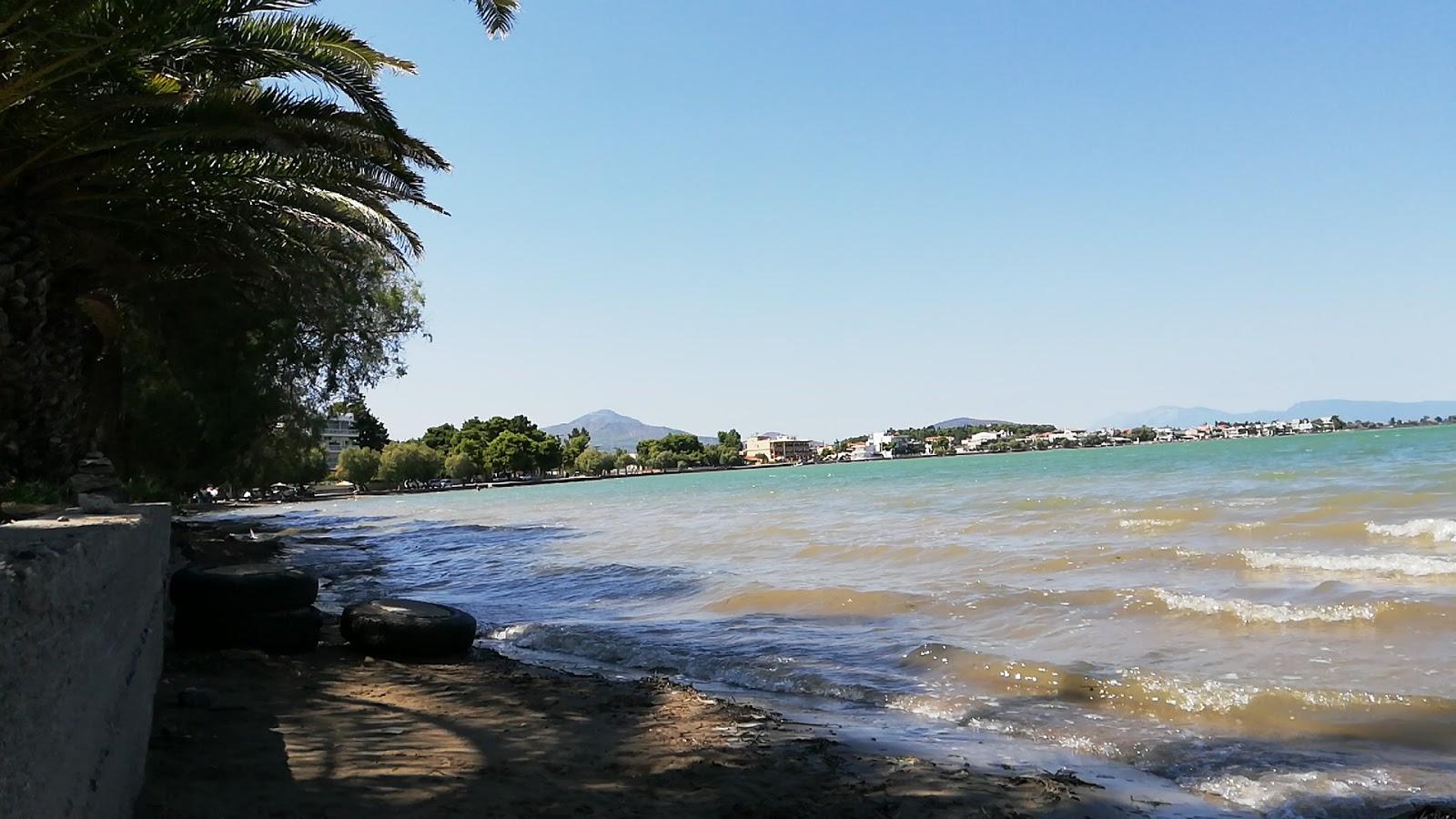 Sandee Coulter Avlida Drinks Kokkinia 0
