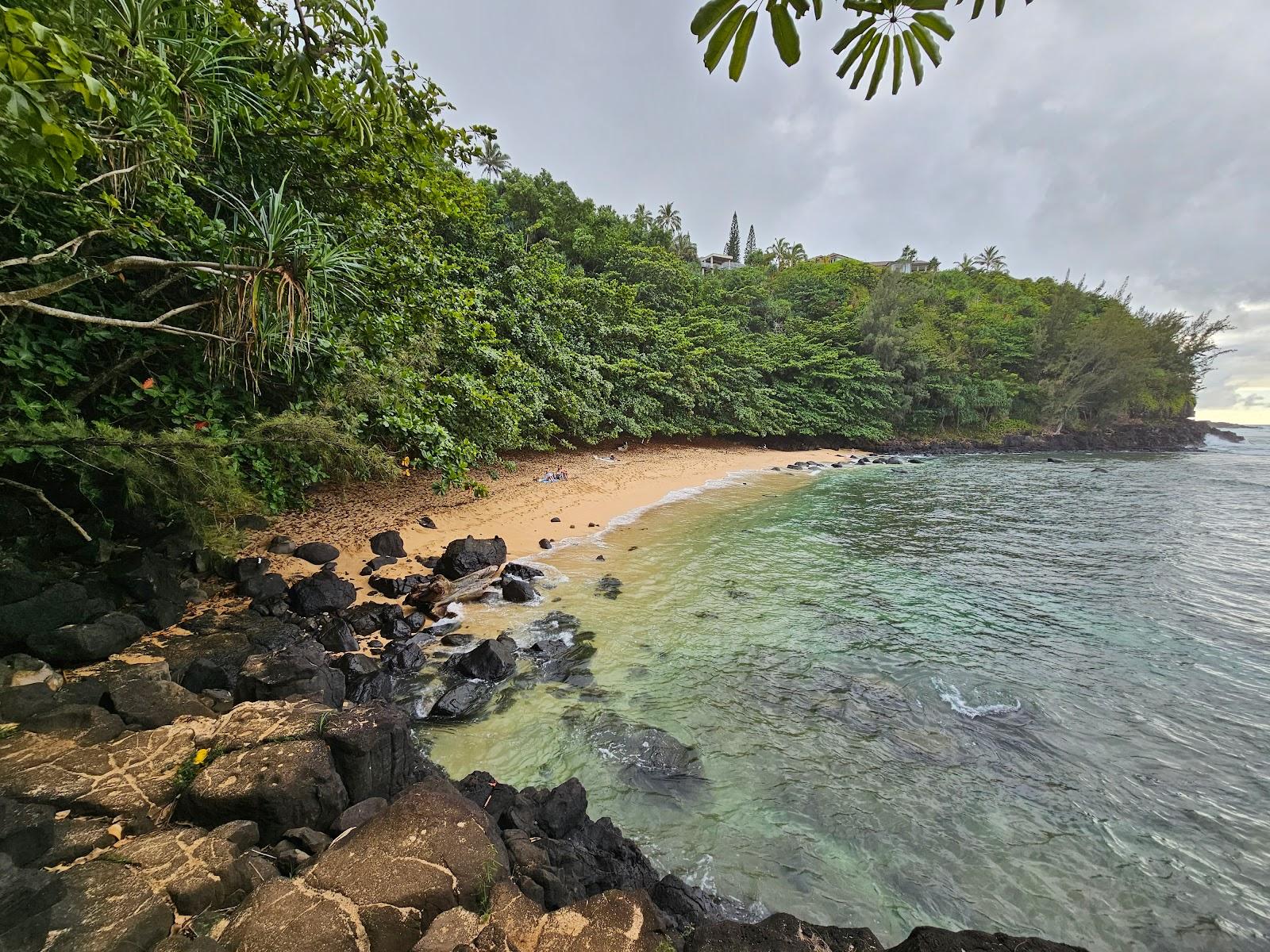 Sandee Sealodge Beach Photo