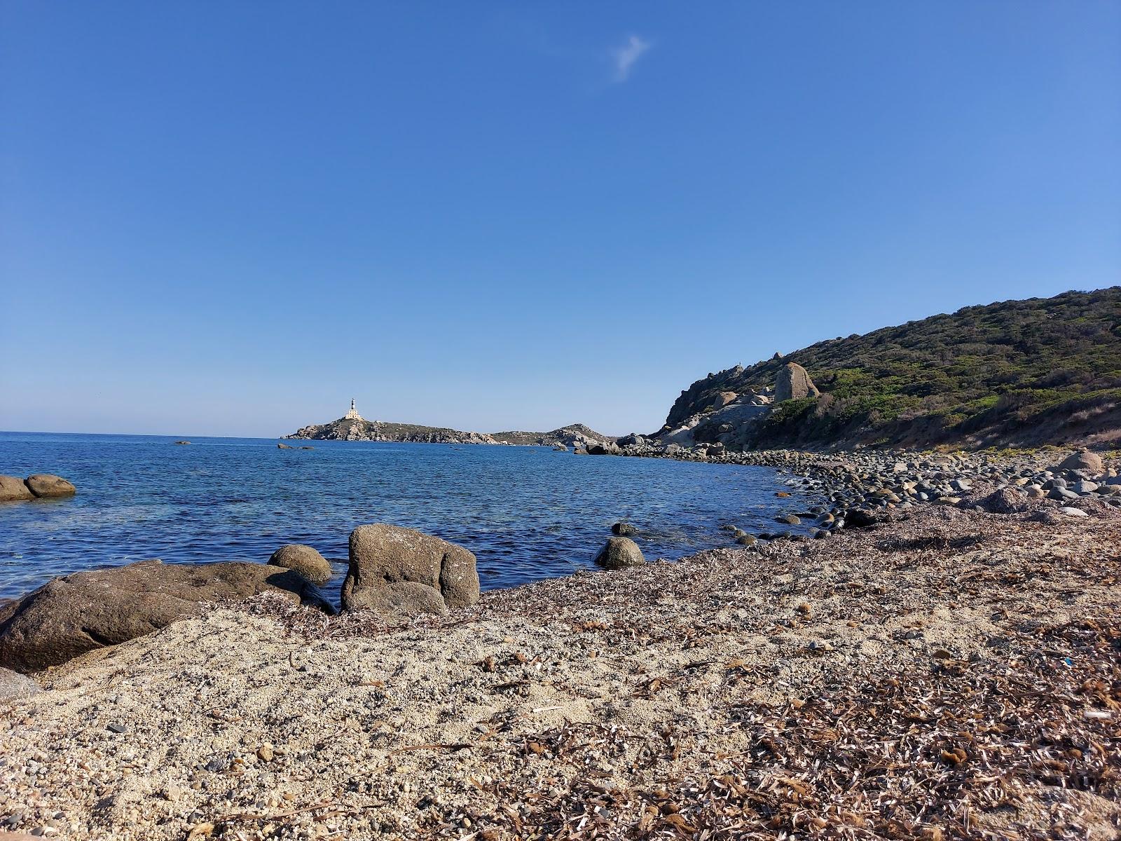 Sandee Spiaggia Di Cala Burroni