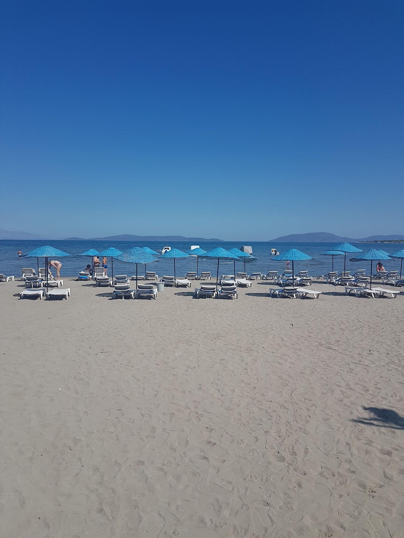 Sandee Mavi Beyaz Beach