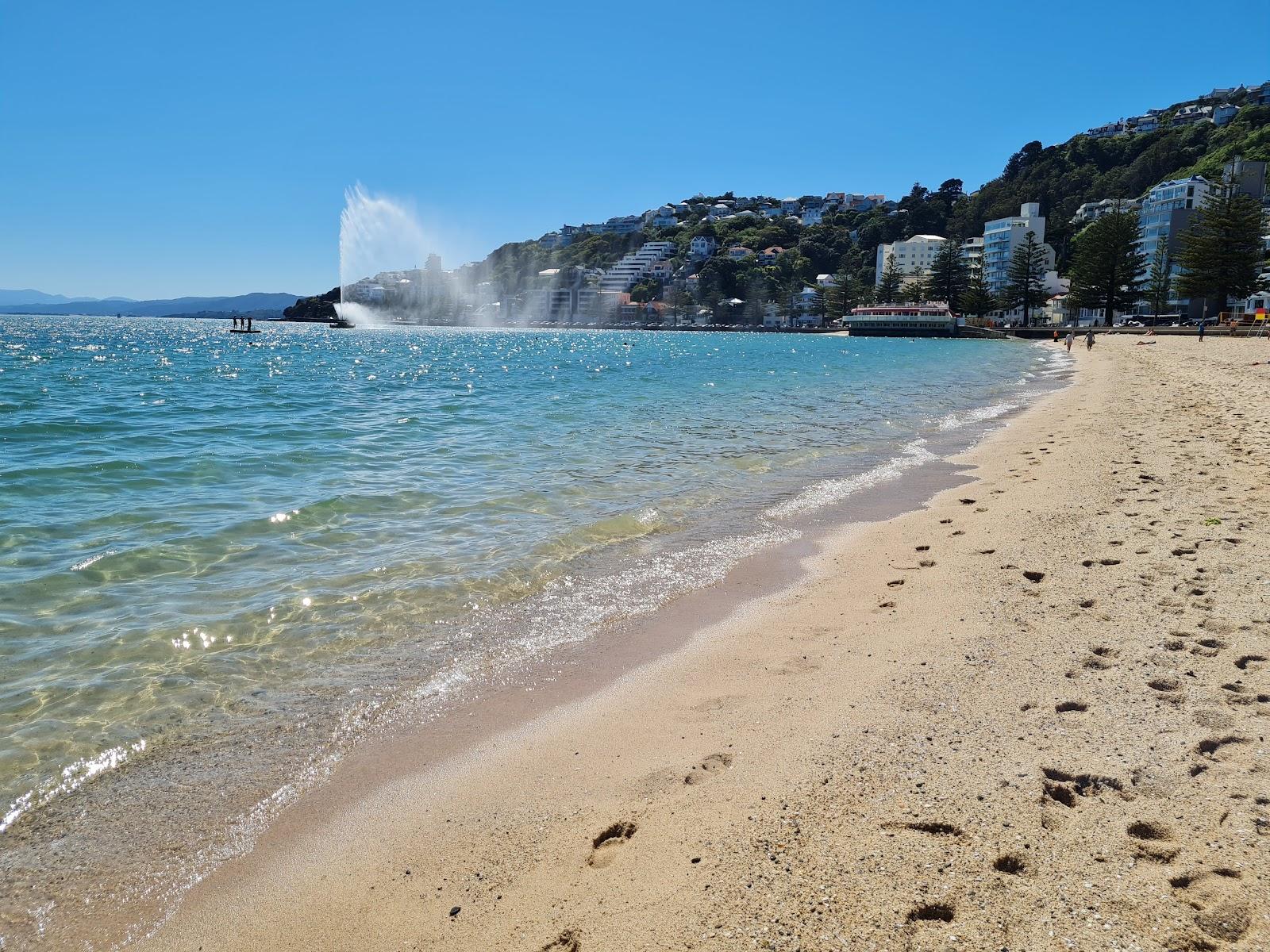 Sandee Freyberg Beach
