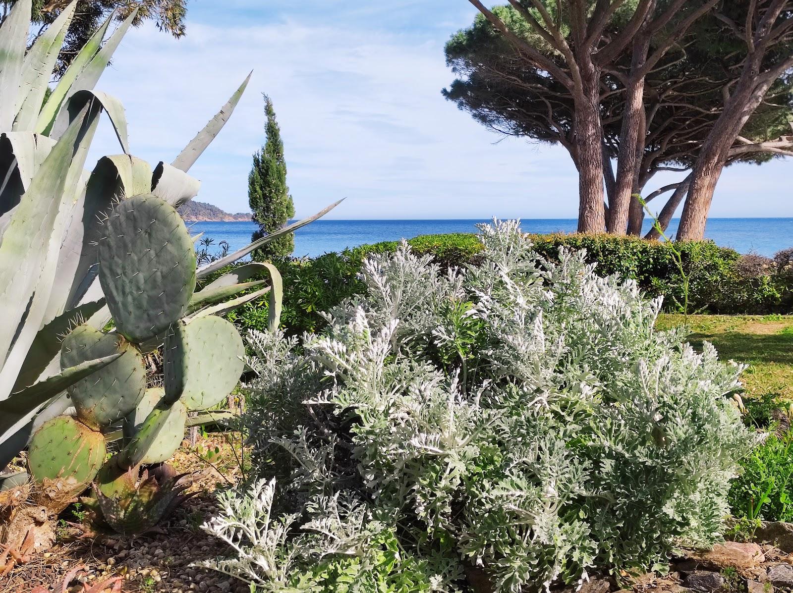 Sandee Plage De Pramousquier Photo