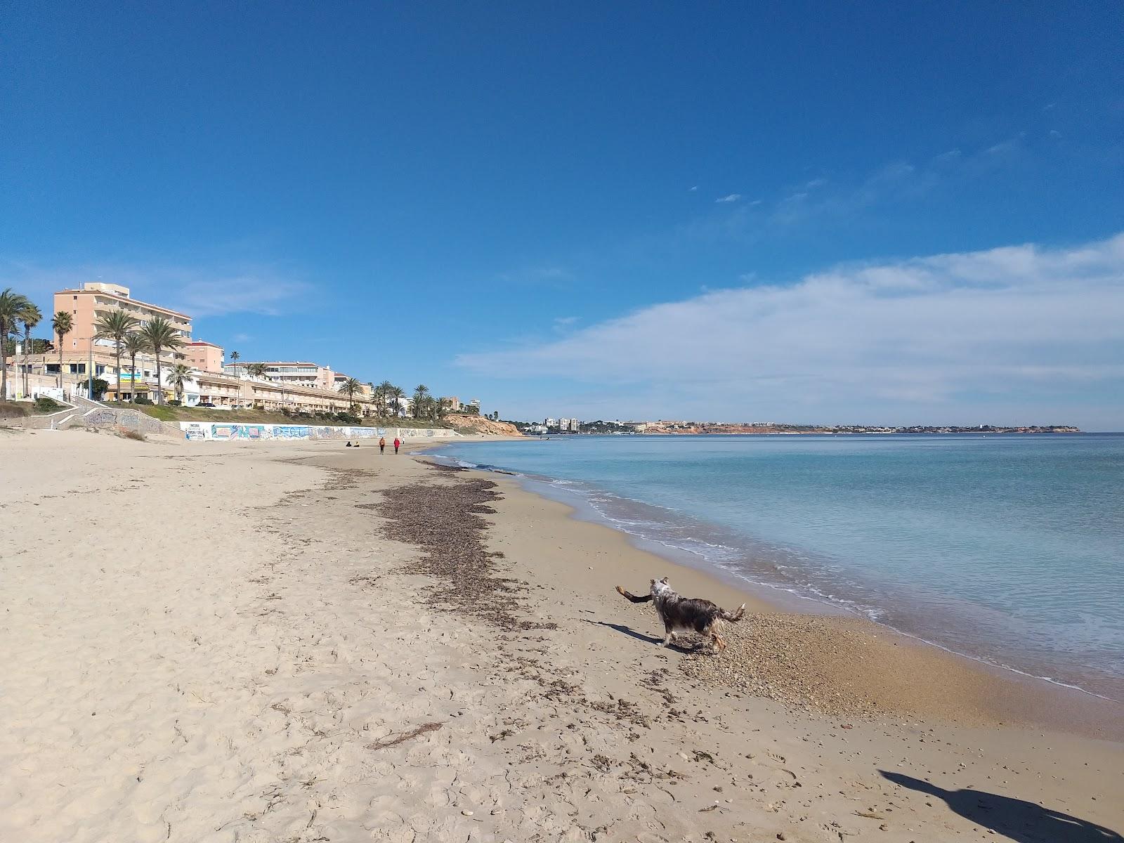 Sandee Playa Vistamar