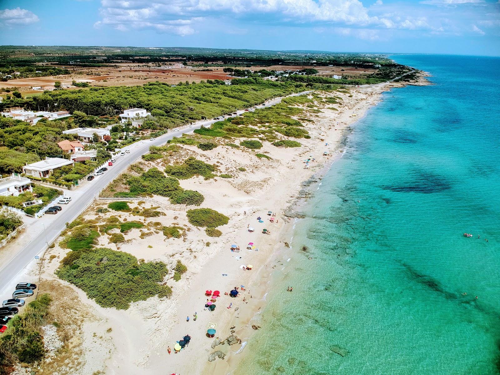 Sandee Spiaggia Presso Le Dune Di Campomarino
