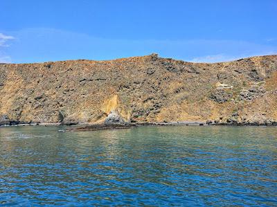 Sandee - Anacapa Island - East Isle