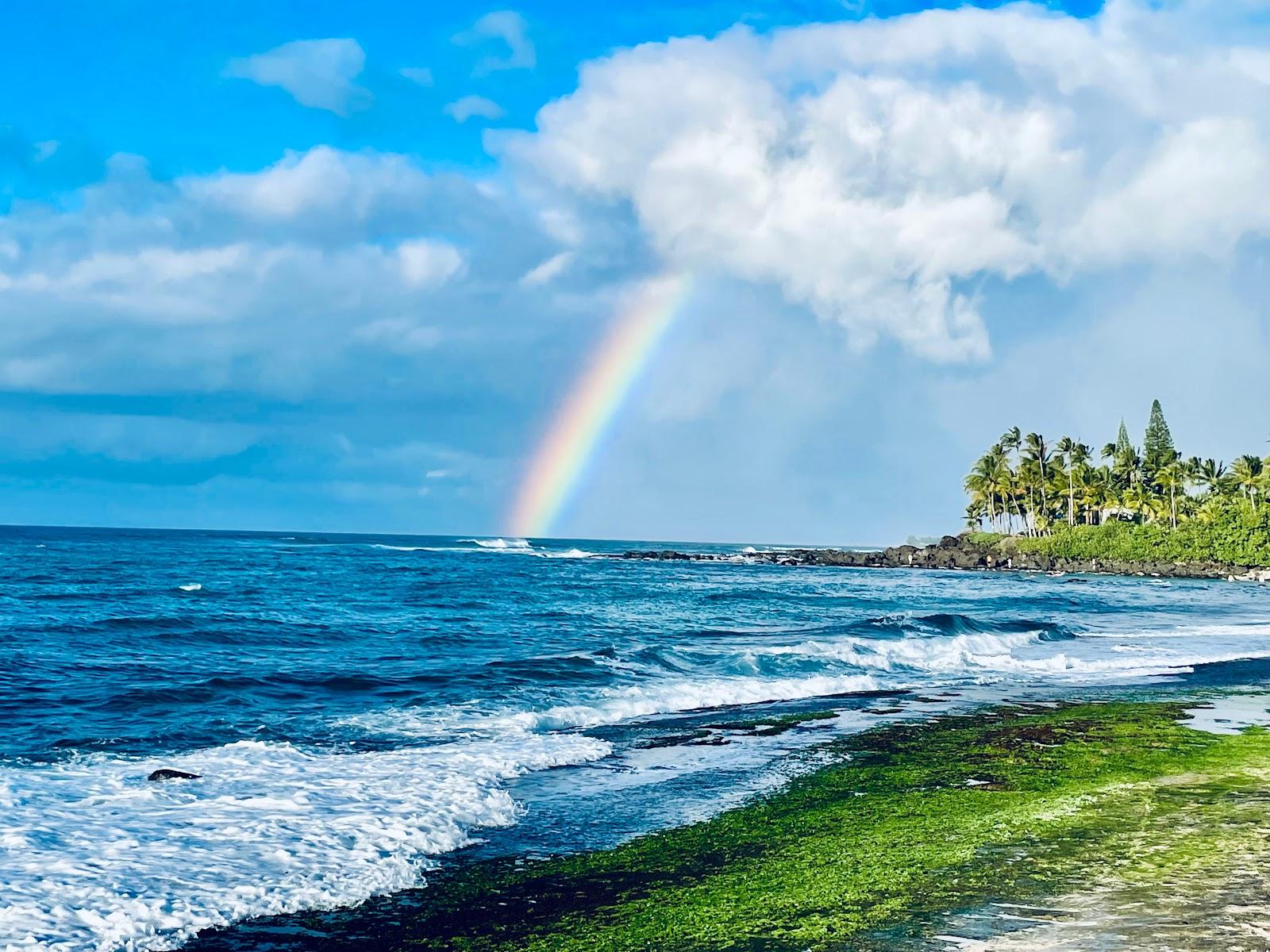 Sandee - Laniakea Beach