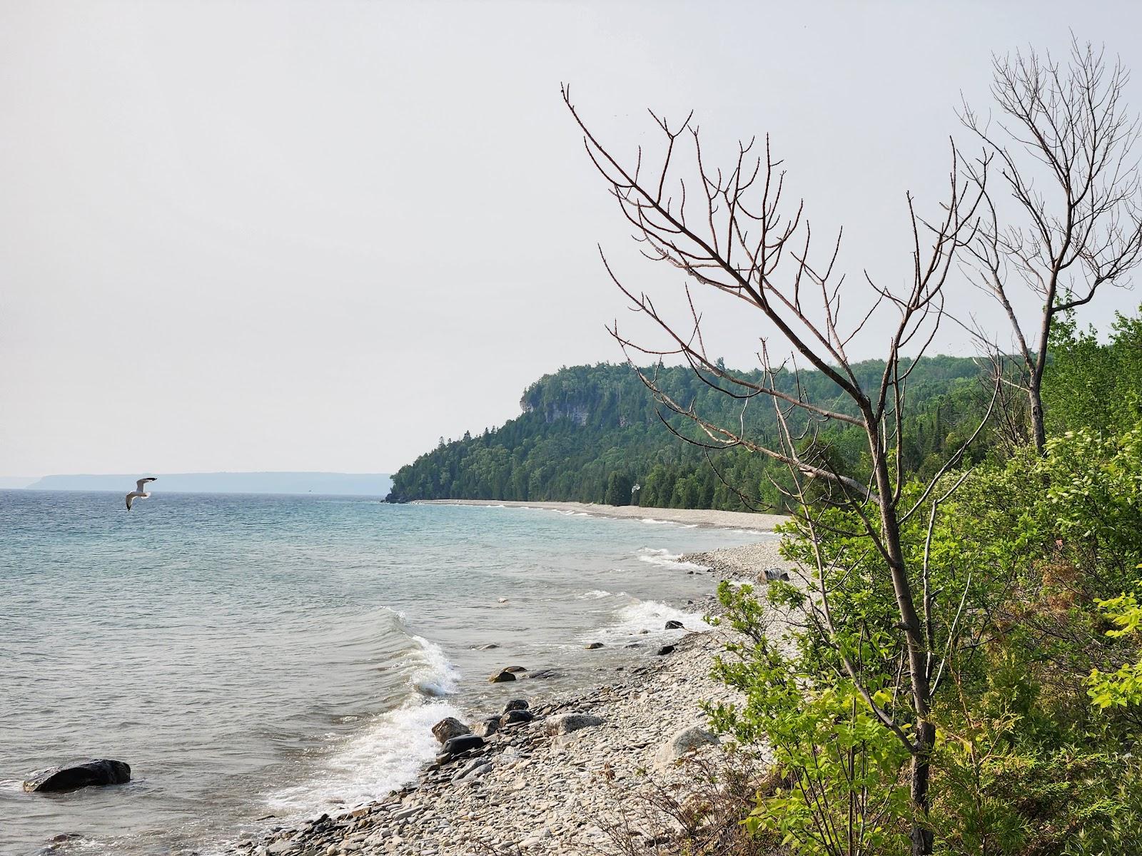 Sandee White Bluff Provincial Park