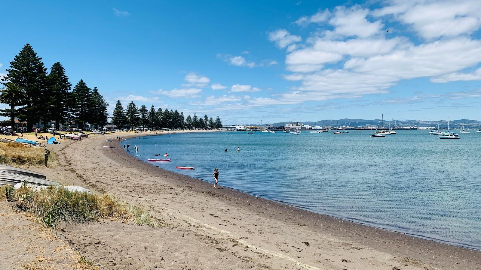 Sandee Pilot Bay Beach Photo