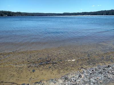 Sandee - Northwood Lake Beach