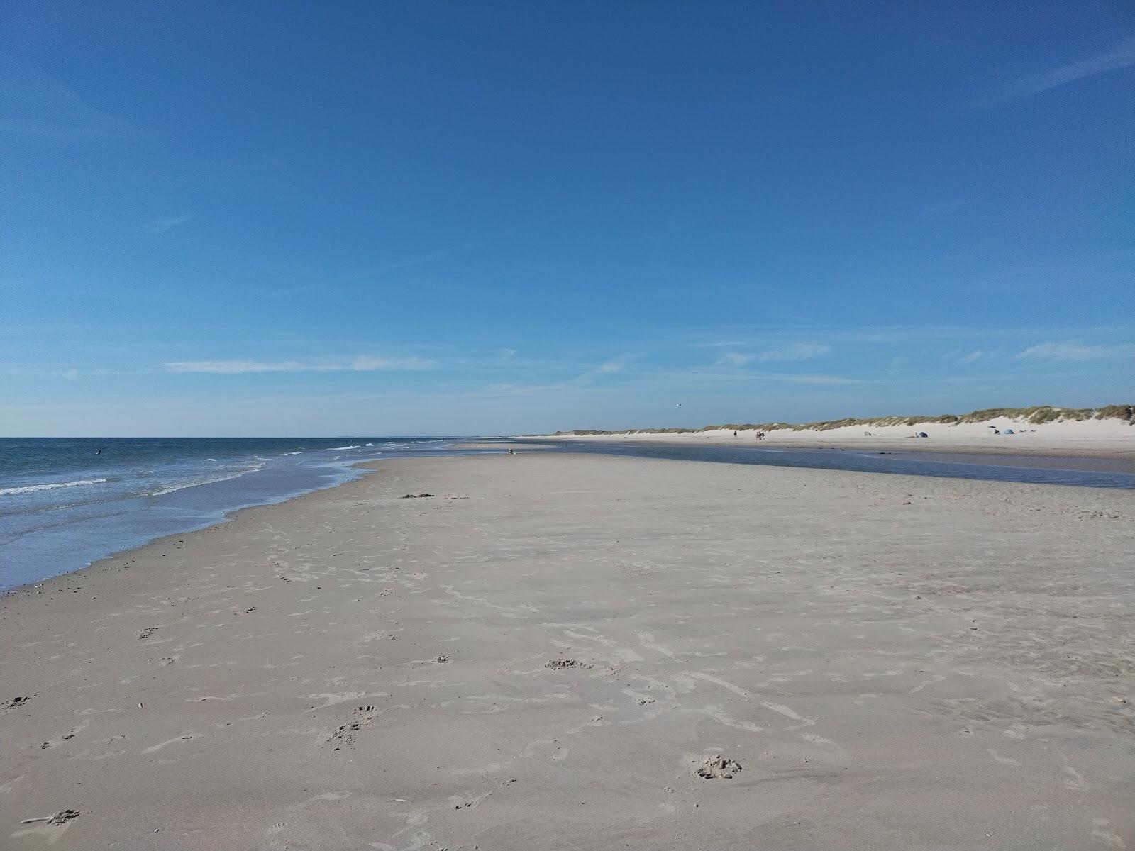 Sandee Skallingen Strand Photo