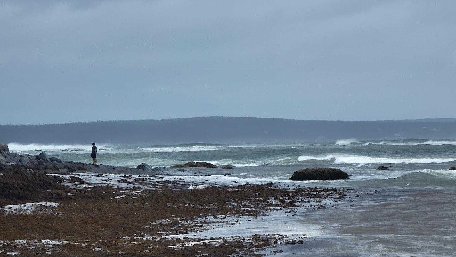 Sandee Petit Nez Beach
