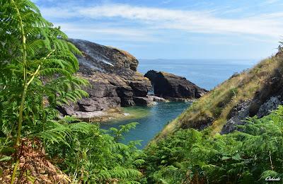 Sandee - Portally Cove Beach