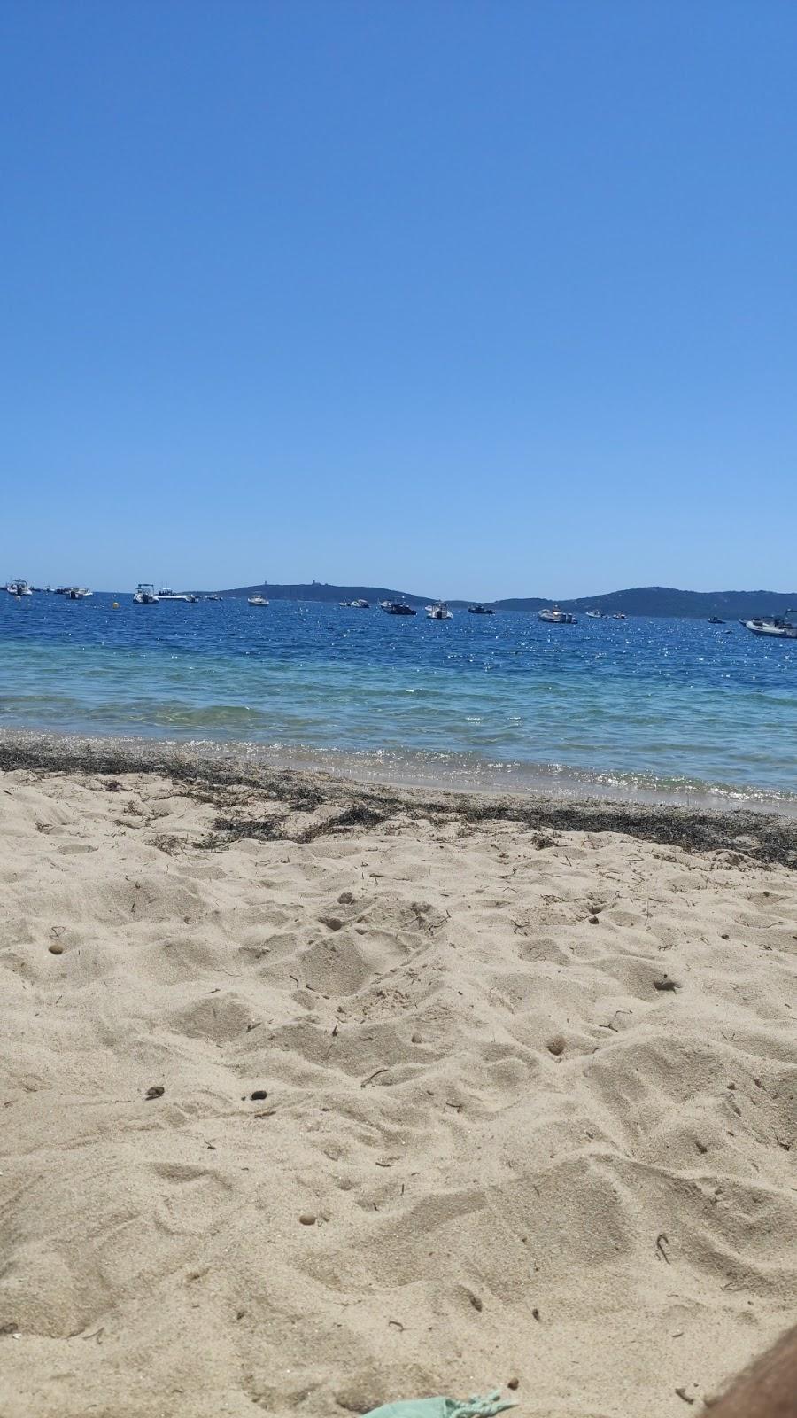 Sandee Plage De Tramulimacchia