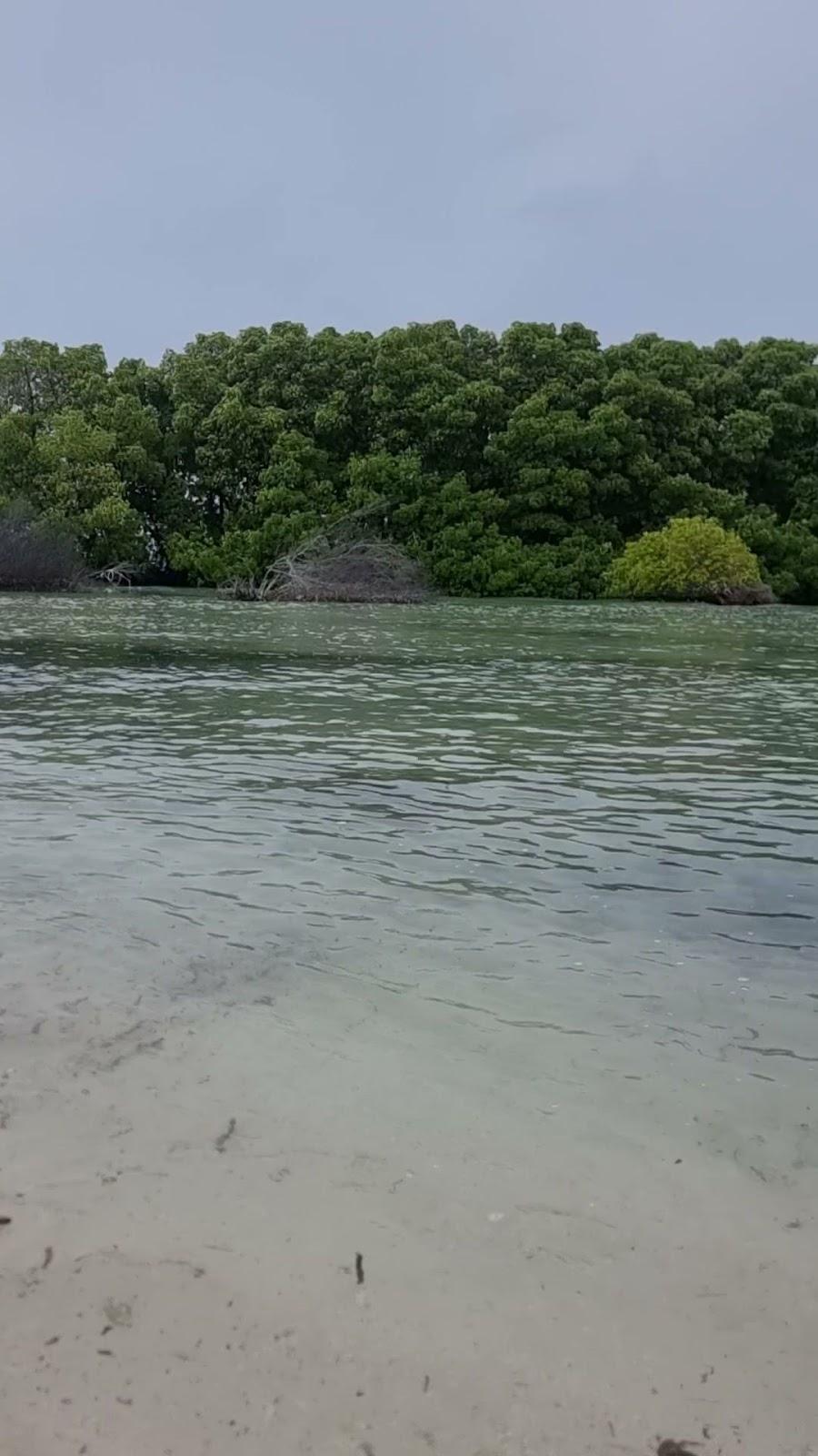 Sandee Kashikeyo Beach