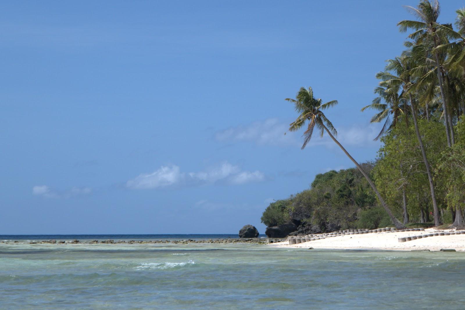 Sandee Sabas Beach And Campsite
