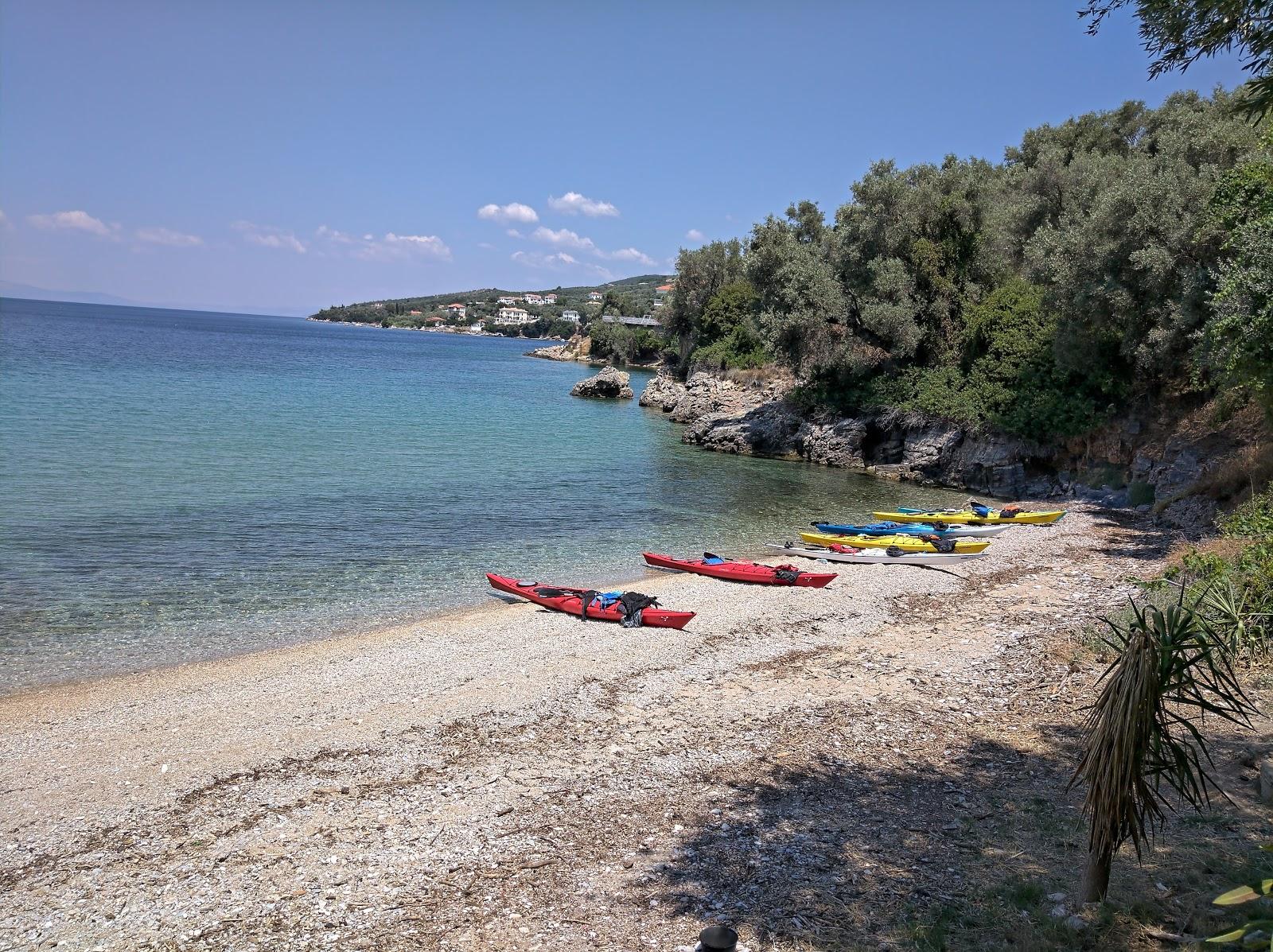 Sandee Olive Beach