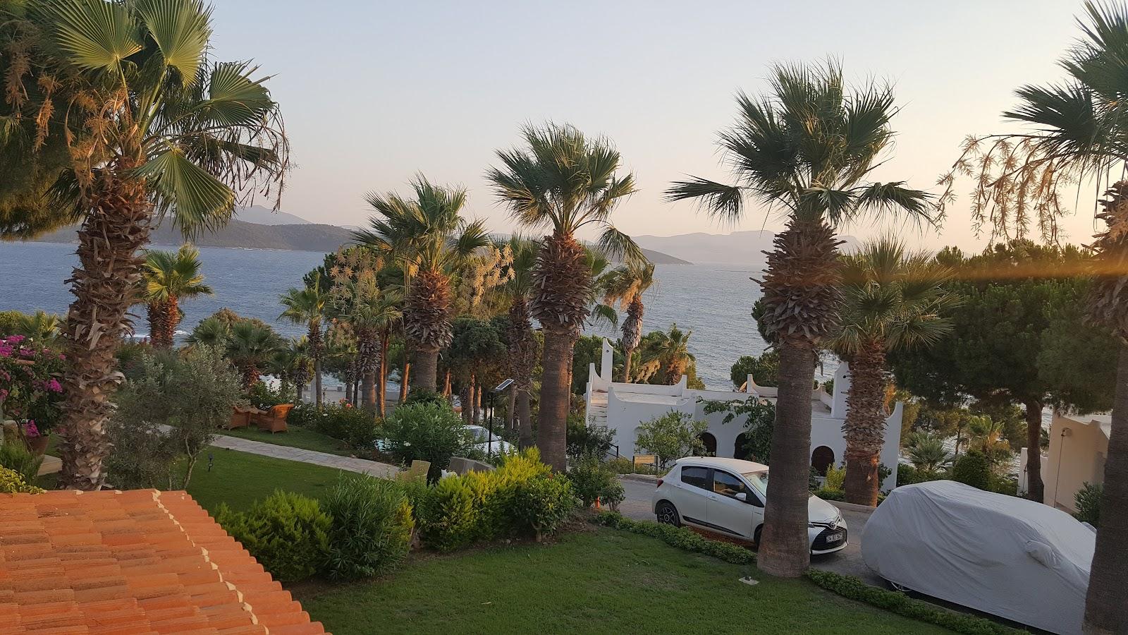 Sandee Gazioglu Beach