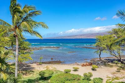 Sandee - Puako Beach