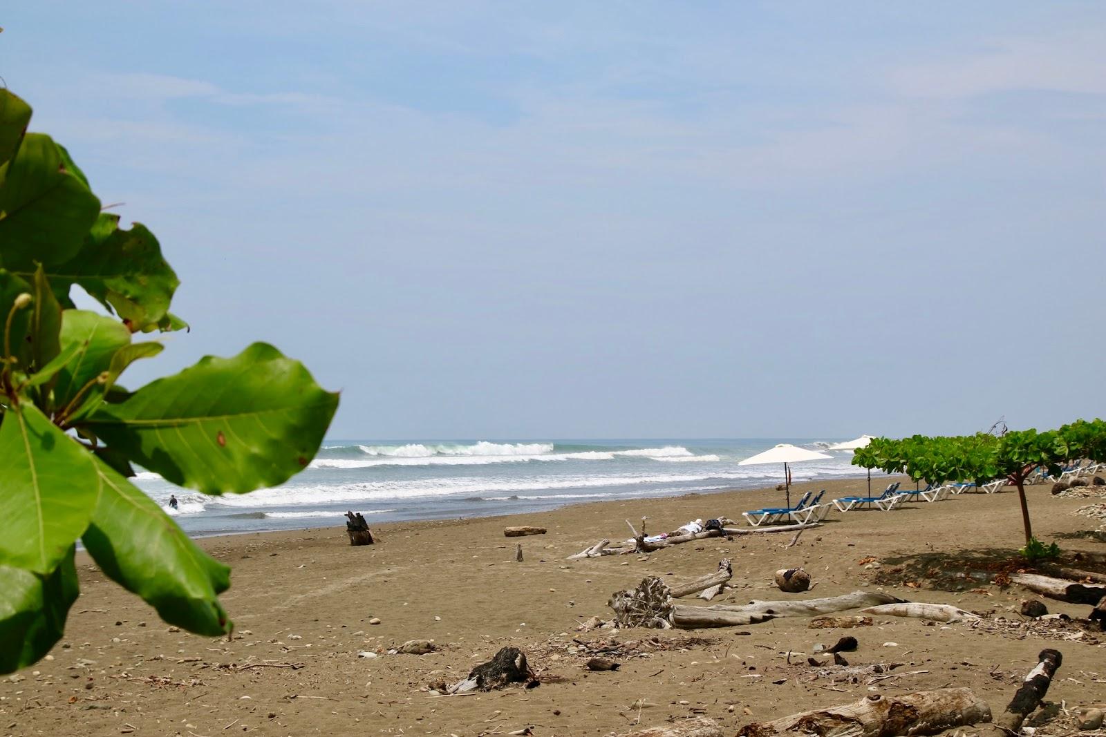 Sandee - Playa Dominicalito