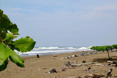 Sandee - Playa Dominicalito