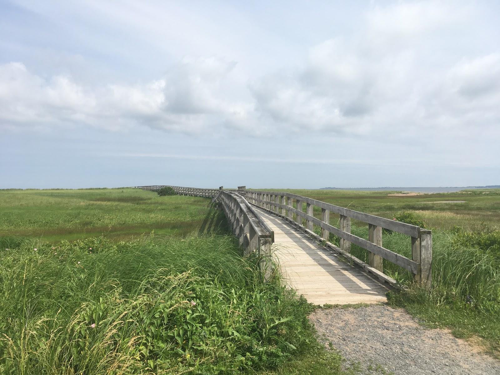 Sandee Rushtons Beach Provincial Park