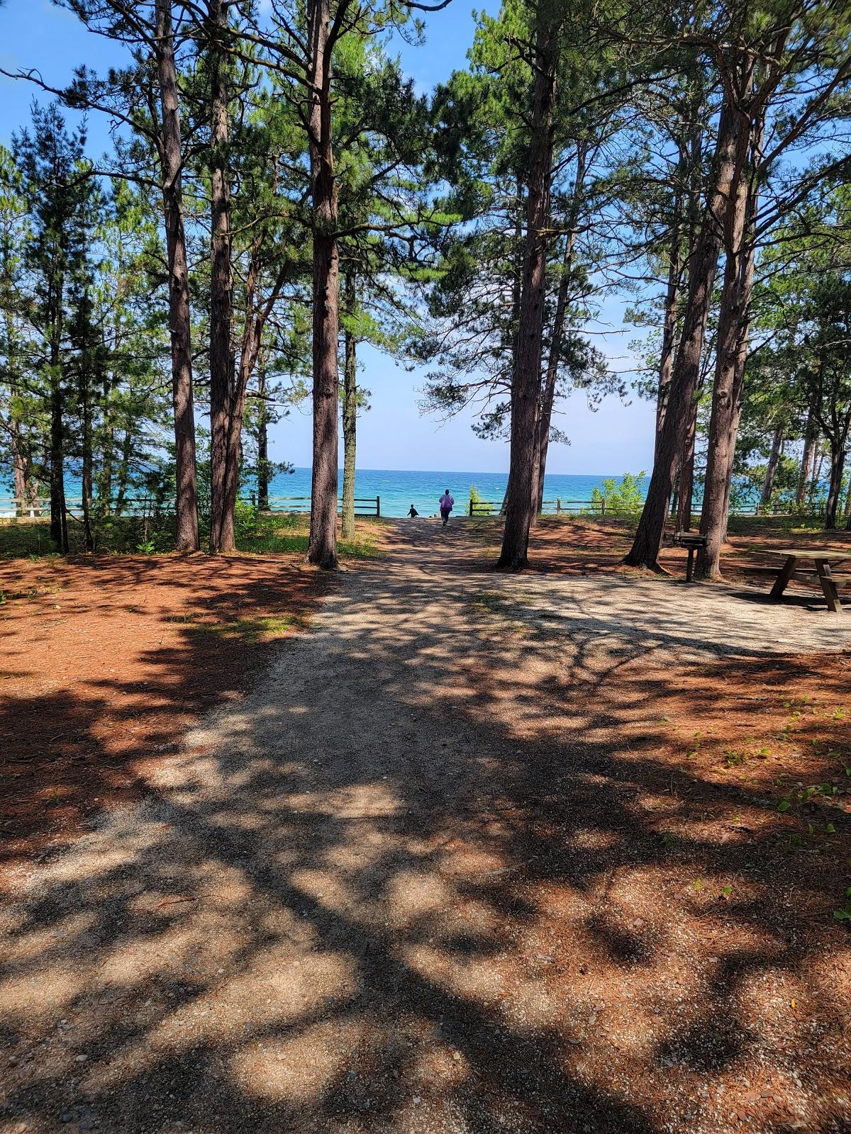Sandee Big Pines Day Use Area
