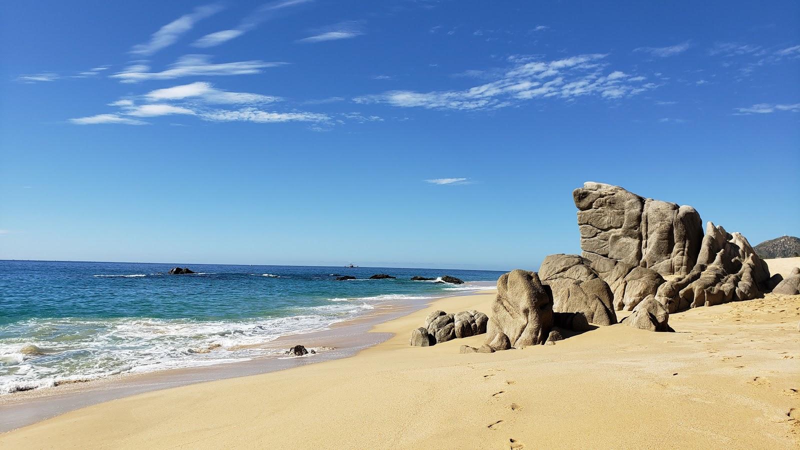 Sandee Pedregal Beach