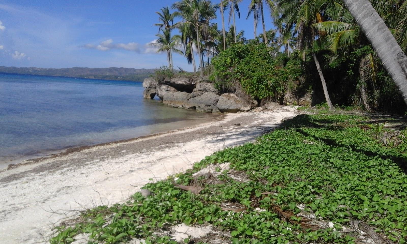 Sandee Candanay Sur Beach Photo